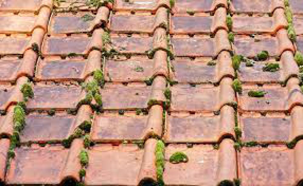 Nettoyage et démoussage de toiture 92 - Lamberger Pikatchou